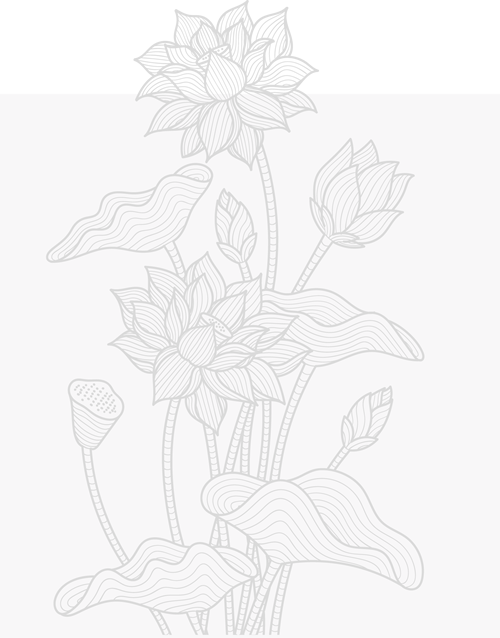 Komjáthy könyvelés lótusz